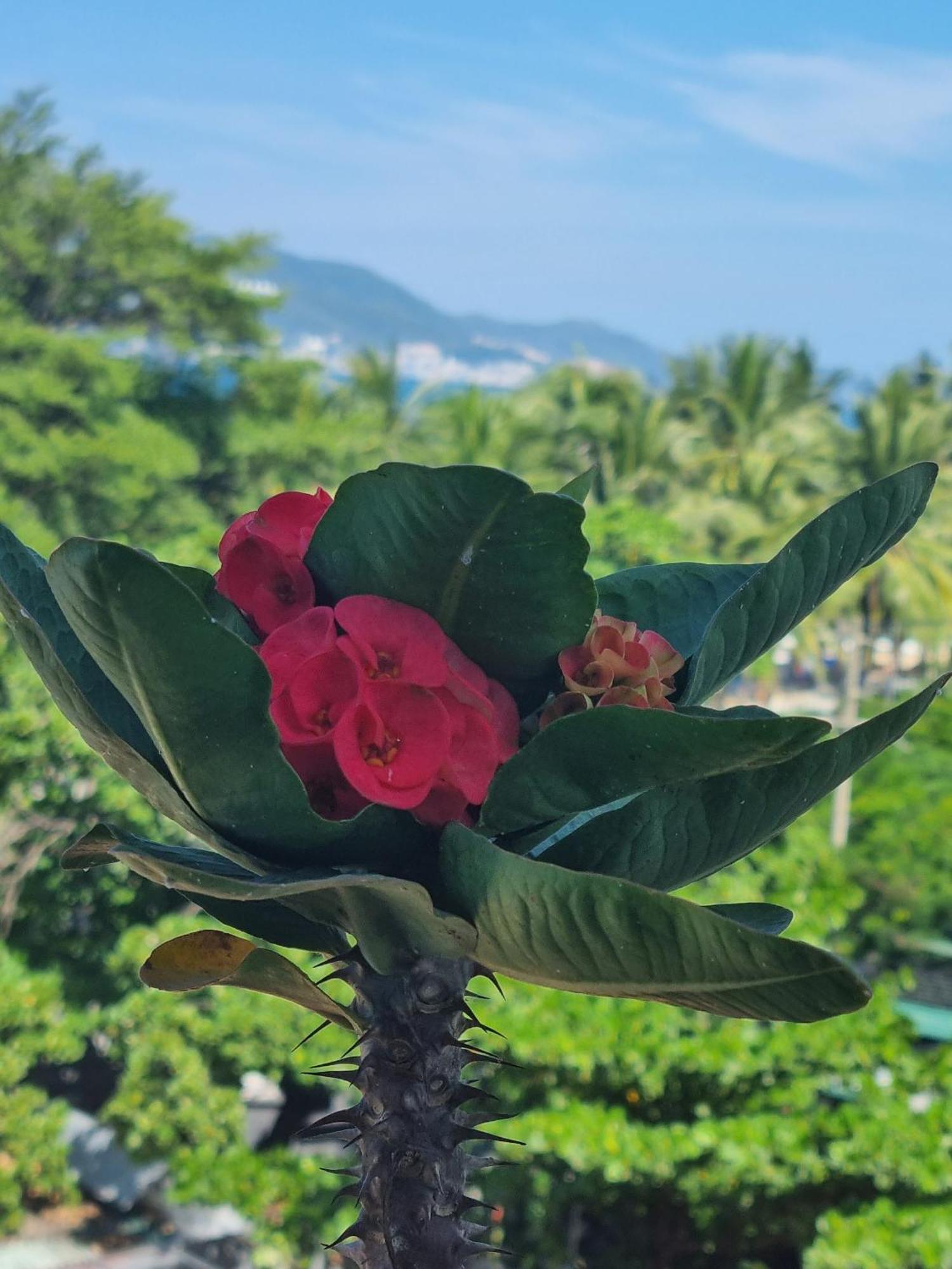 Pho Bien Hotel Να Τρανγκ Εξωτερικό φωτογραφία
