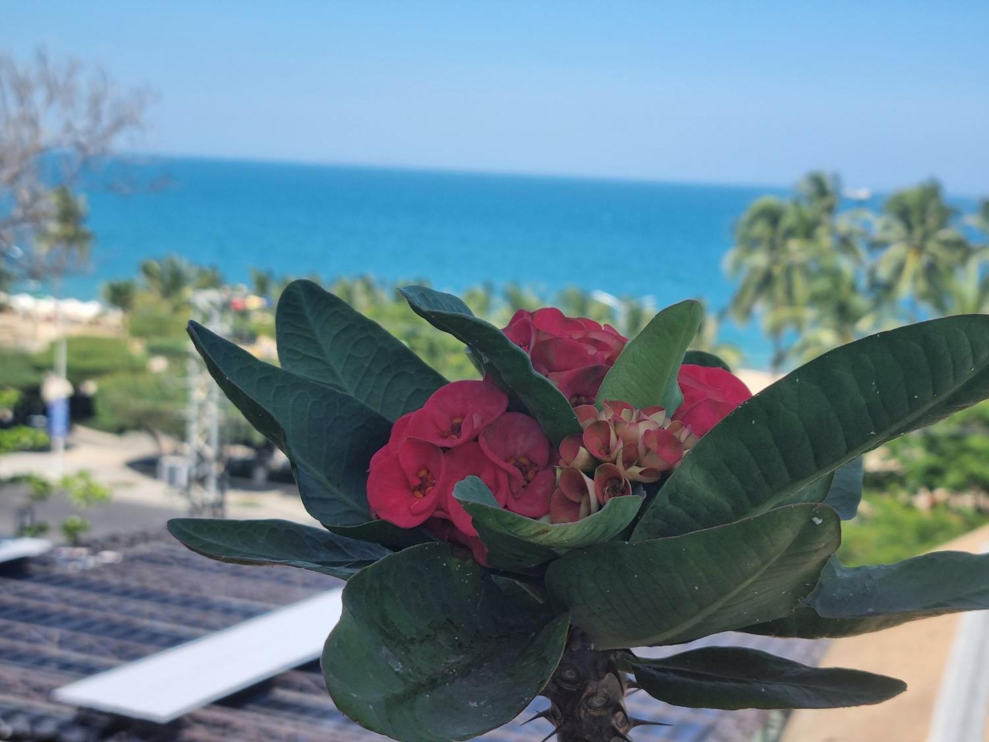 Pho Bien Hotel Να Τρανγκ Εξωτερικό φωτογραφία